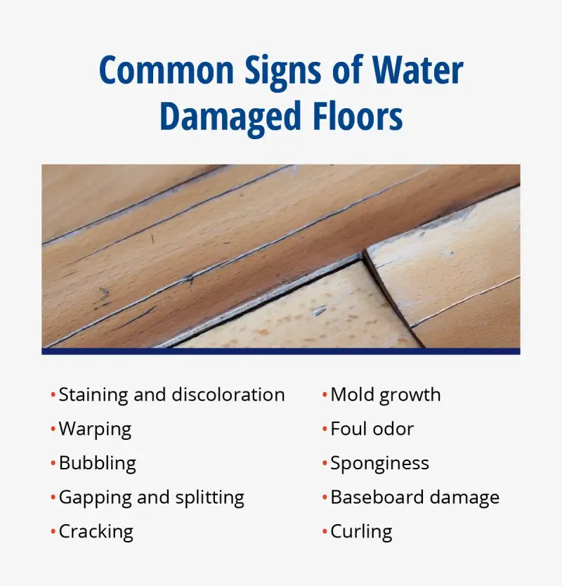 A list of the common signs of water damaged floors.