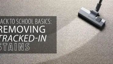 Back to School Basics: Removing Tracked-in Stains
