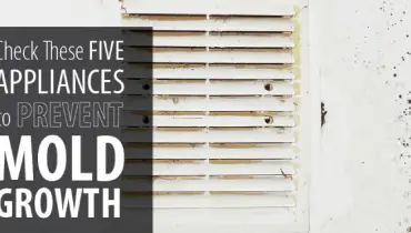 Check these five appliances to make sure they aren't causing Mold growth banner.