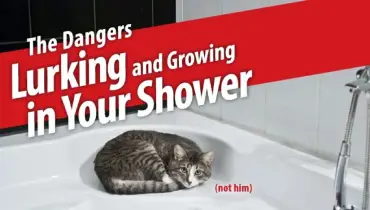 The Dangers Lurking and Growing in Your Shower blog banner.