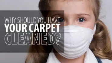 Why you should have your carpet cleaned blog banner