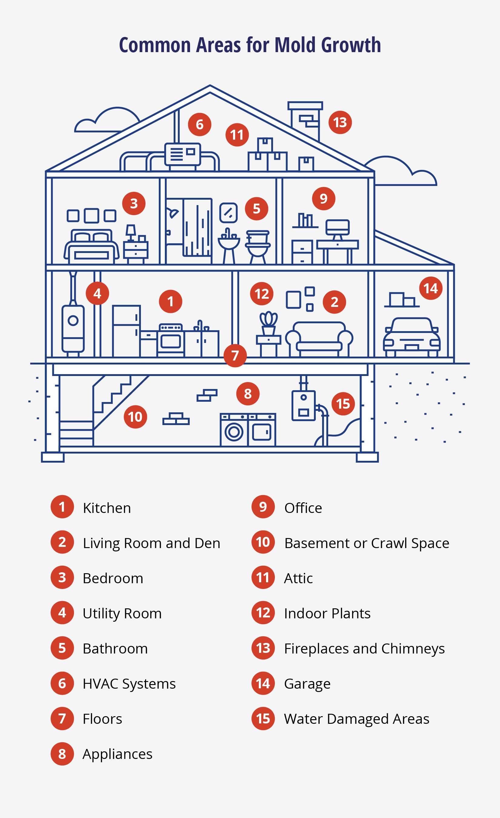 Home with common areas of mold depicted.