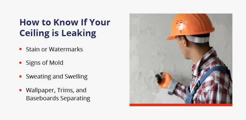 Signs of a ceiling water leak, including stains, mold, and more.
