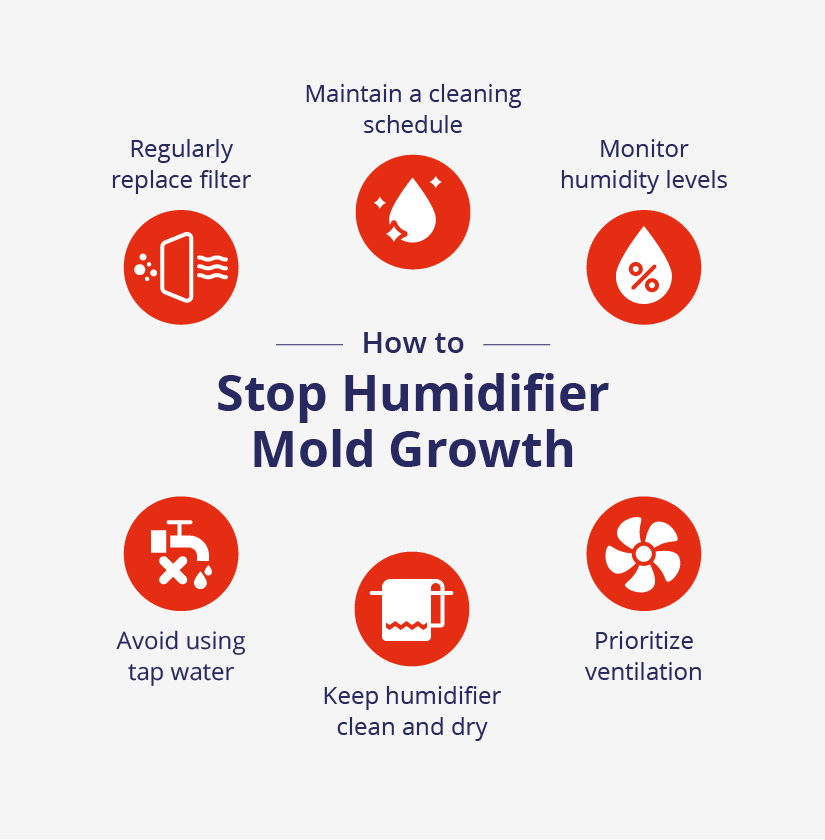 Graphic listing ways to prevent humidifier mold growth.