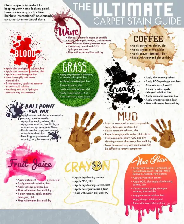 Ultimate Carpet Stain Guide
