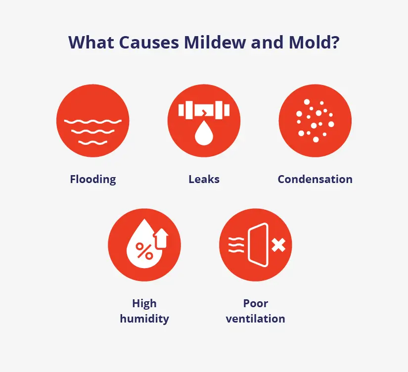 Flooding, leaks, condensation, high humidity, and poor ventilation can cause mildew and mold.